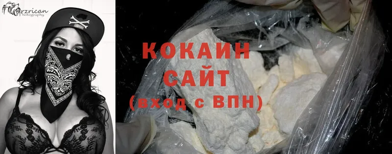 COCAIN Fish Scale  MEGA ссылки  Асино 